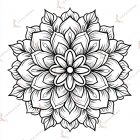 cómo colorear mandalas